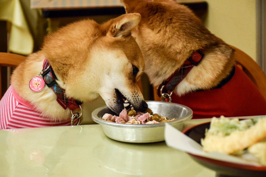 わーい、豚肉だ！