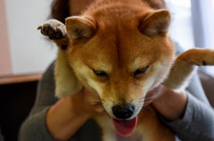 梅子ですー