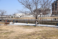 公園の釣り人