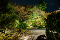 京都　圓徳院