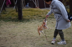 ワンコ釣り