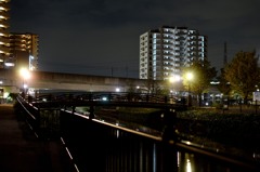 夜の公園