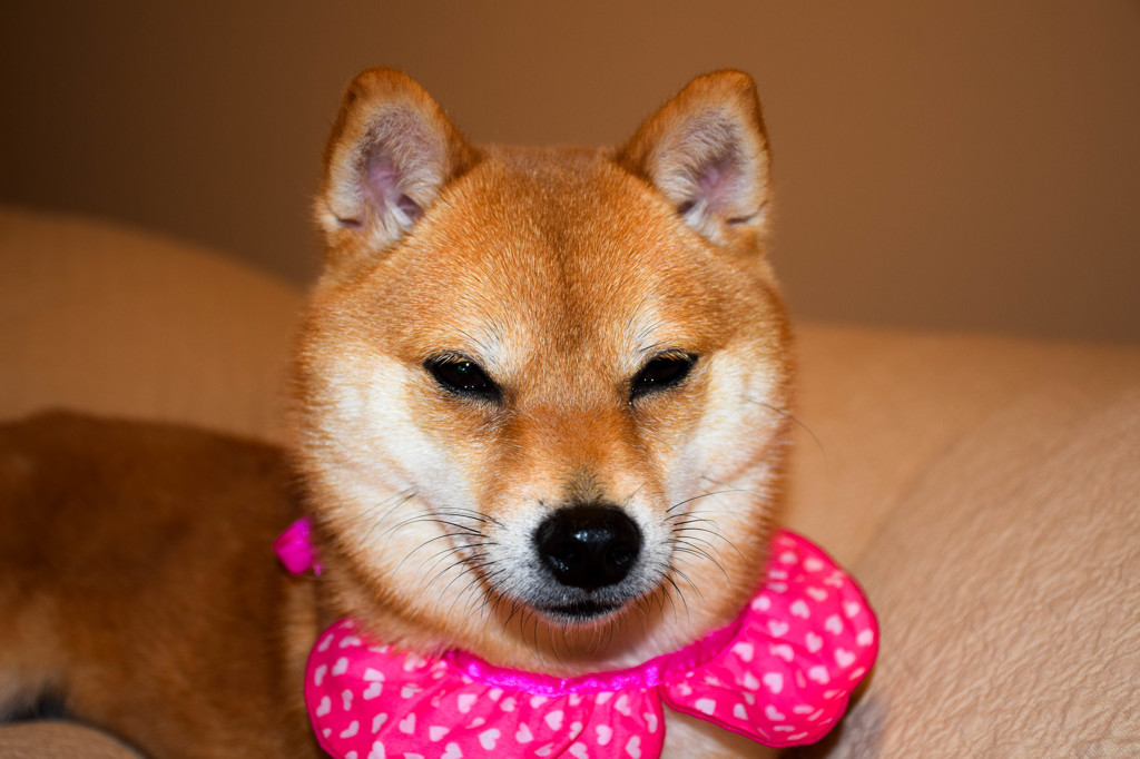 眠たいよー