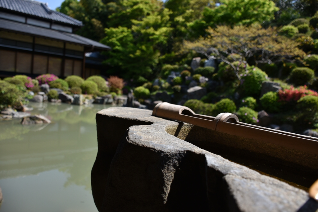 智積院