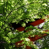 宇佐の鳥居