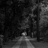 二人の帰り路