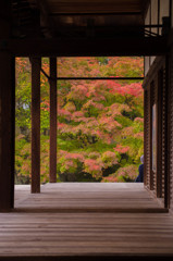 天授庵の秋の入口