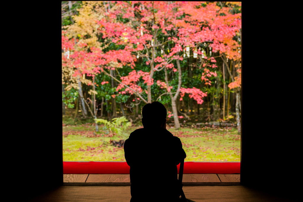 紅葉を撮る