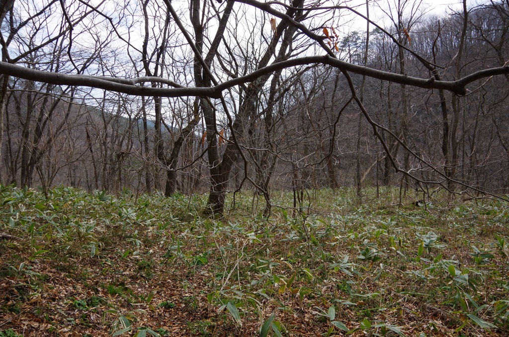 奥羽本線 板谷峠-6