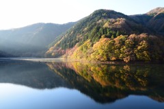 奥多摩湖の紅葉