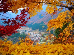 紅葉