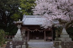 春詣で