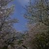 夜あるき