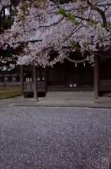 春詣で