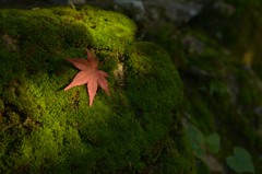 静寂なる～