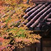 鹿王院　④
