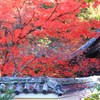 鹿王院　②