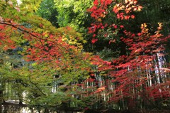 鹿王院　①