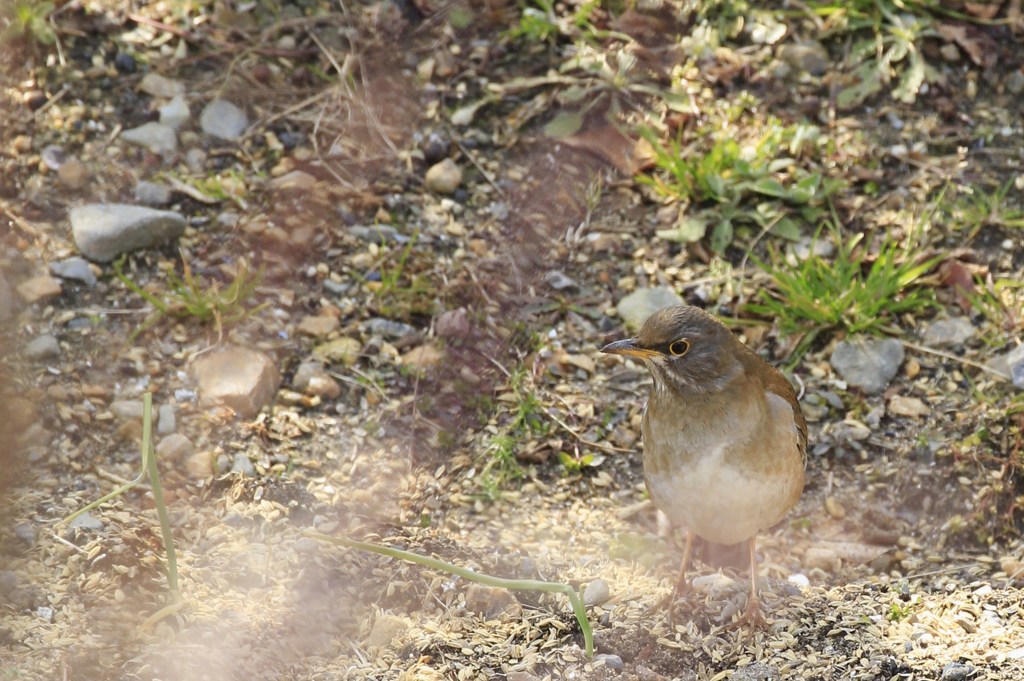 お名前、何ての？