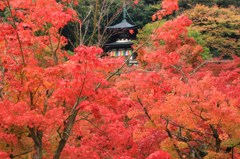 多宝塔