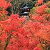 多宝塔
