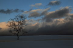 the midwinter_19