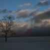 the midwinter_19