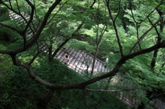Climb or　Descend