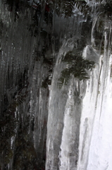 the midwinter_15