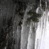 the midwinter_15