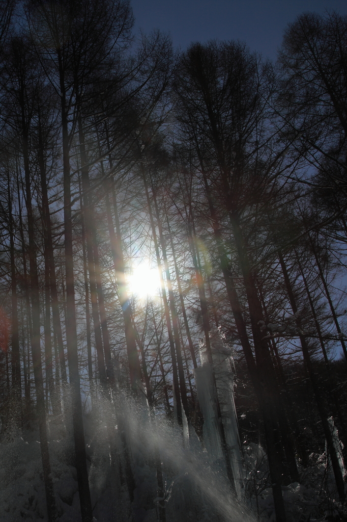 the midwinter_13
