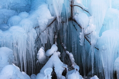 the midwinter_10
