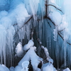 the midwinter_10