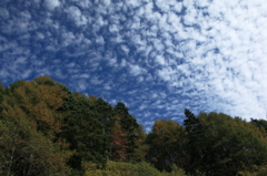 in early autumn_1
