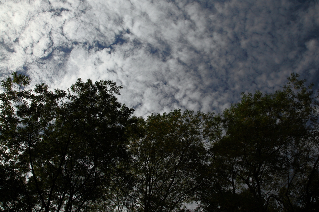 in early autumn_3