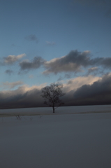 the midwinter_18