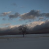 the midwinter_18