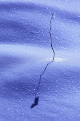 the midwinter_3