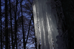the midwinter_12