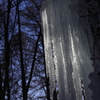 the midwinter_12