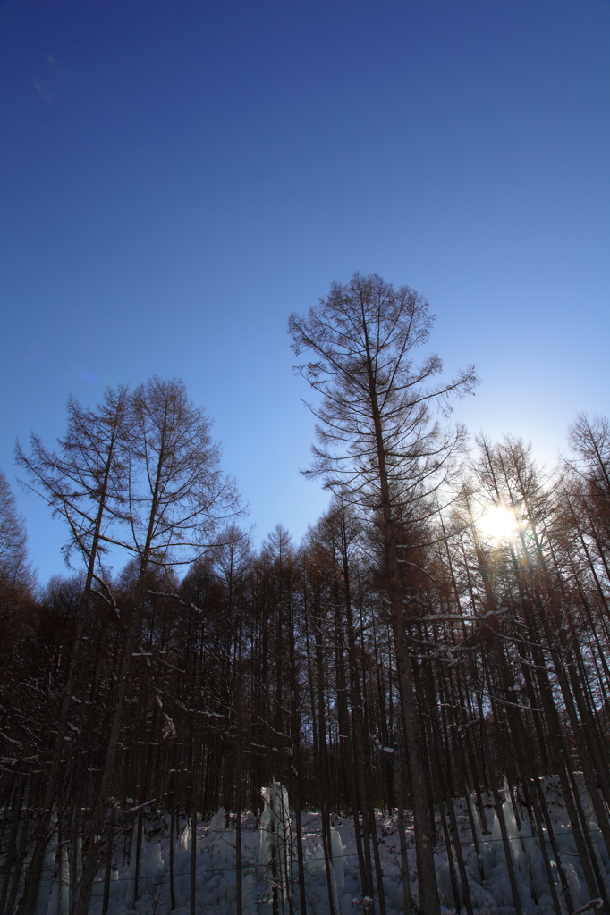 the midwinter_7