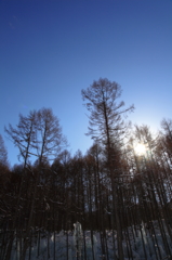 the midwinter_7