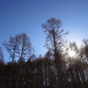 the midwinter_7