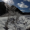 the midwinter_6