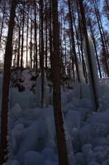 the midwinter_9