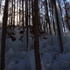 the midwinter_9