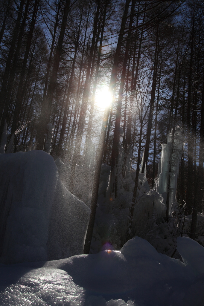 the midwinter_8