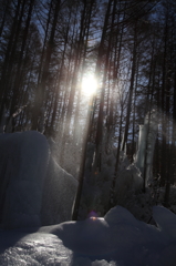 the midwinter_8
