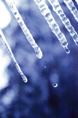 the midwinter_16