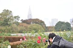 休日の楽しみ方